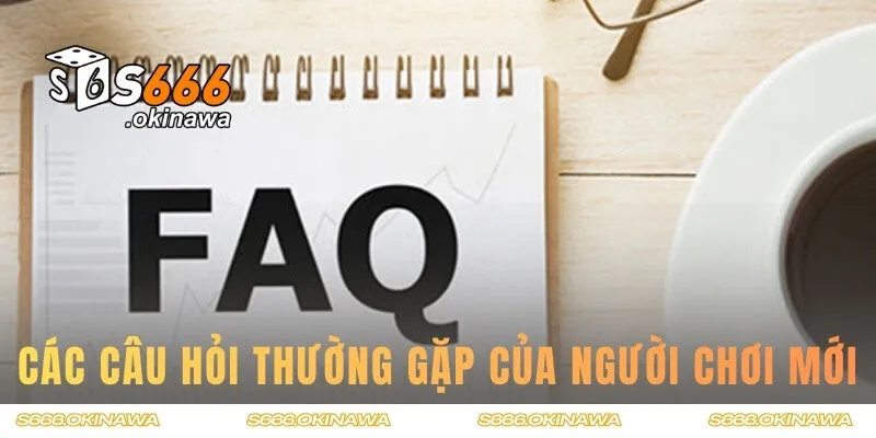 Top các câu hỏi thường gặp của người chơi mới
