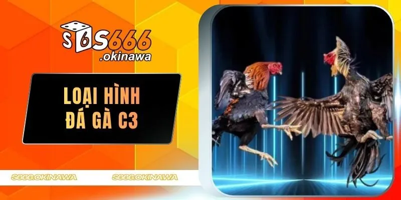 đá gà C3