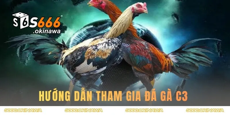 Hướng dẫn người chơi cách tham gia xem chọi gà C3