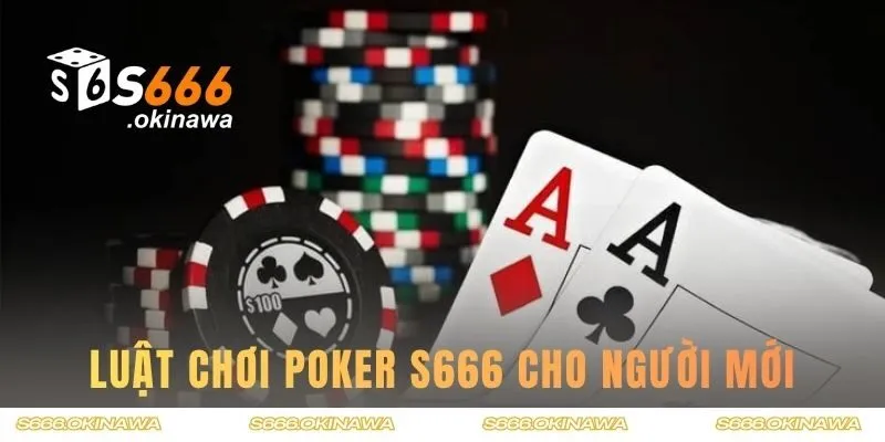 Nắm rõ luật chơi cho người mới bắt đầu